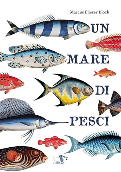 Edv811 un mare pesci copertina ok