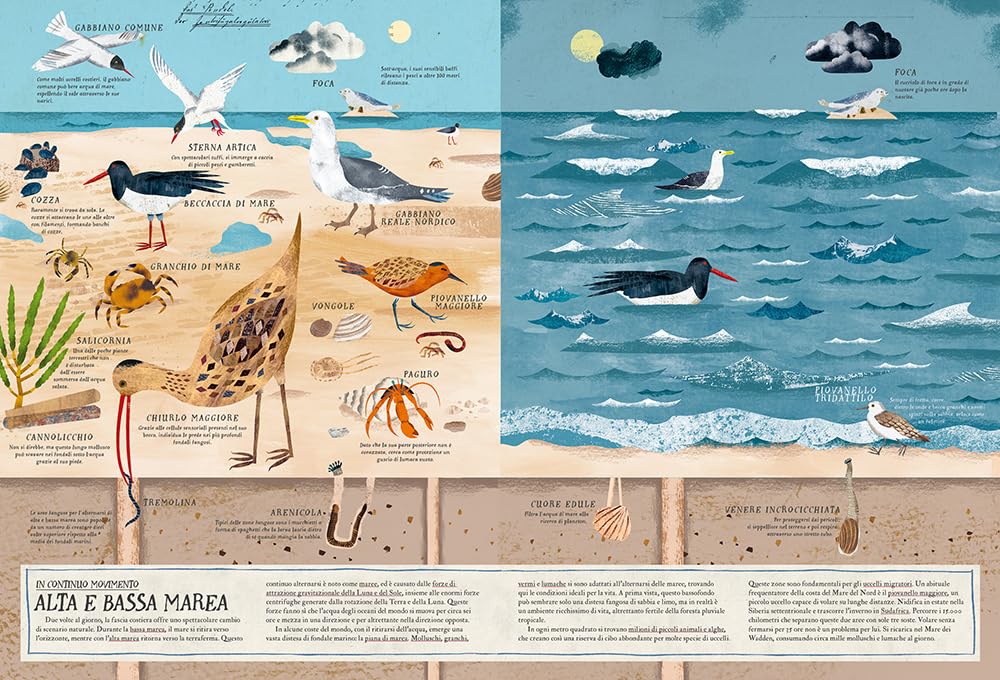 Edv824 9791255511335 mario del mondo 2