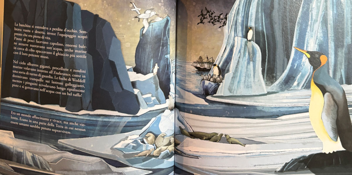 Edv873 isbn9788836181889 capitano shackleton in1