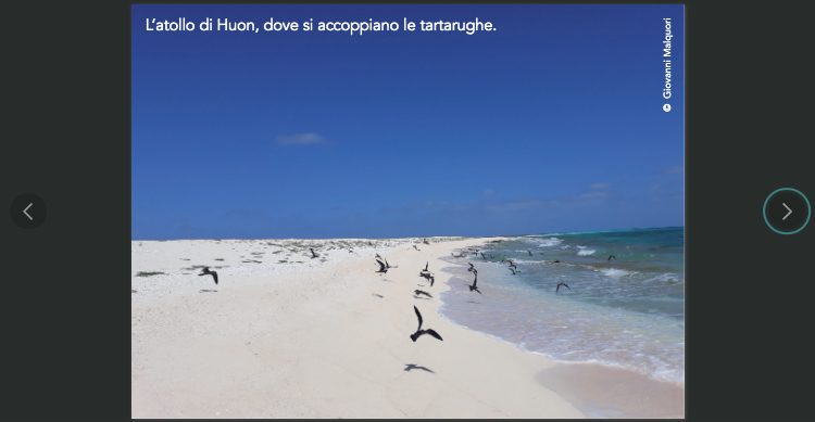 NAV120 9788836103041 IMPORTANZA ORIZZONTE narrativa mare IN03